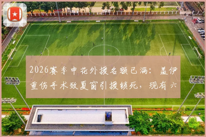 2026赛季申花外援名额已满：盖伊重伤手术致夏窗引援锁死，现有六外援组合详解与应对策略